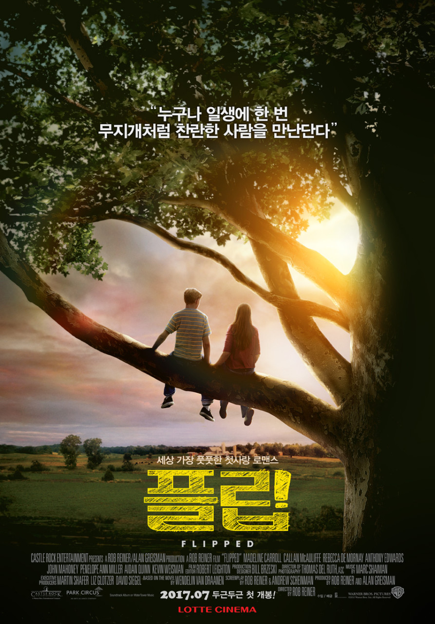 플립