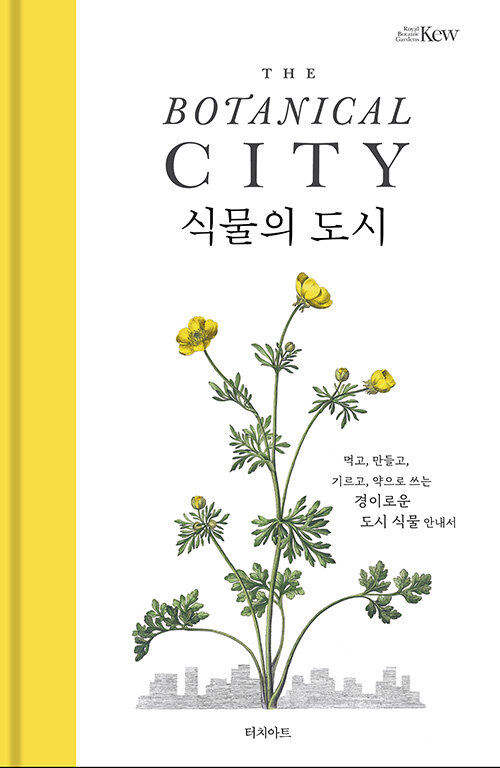 식물의 도시