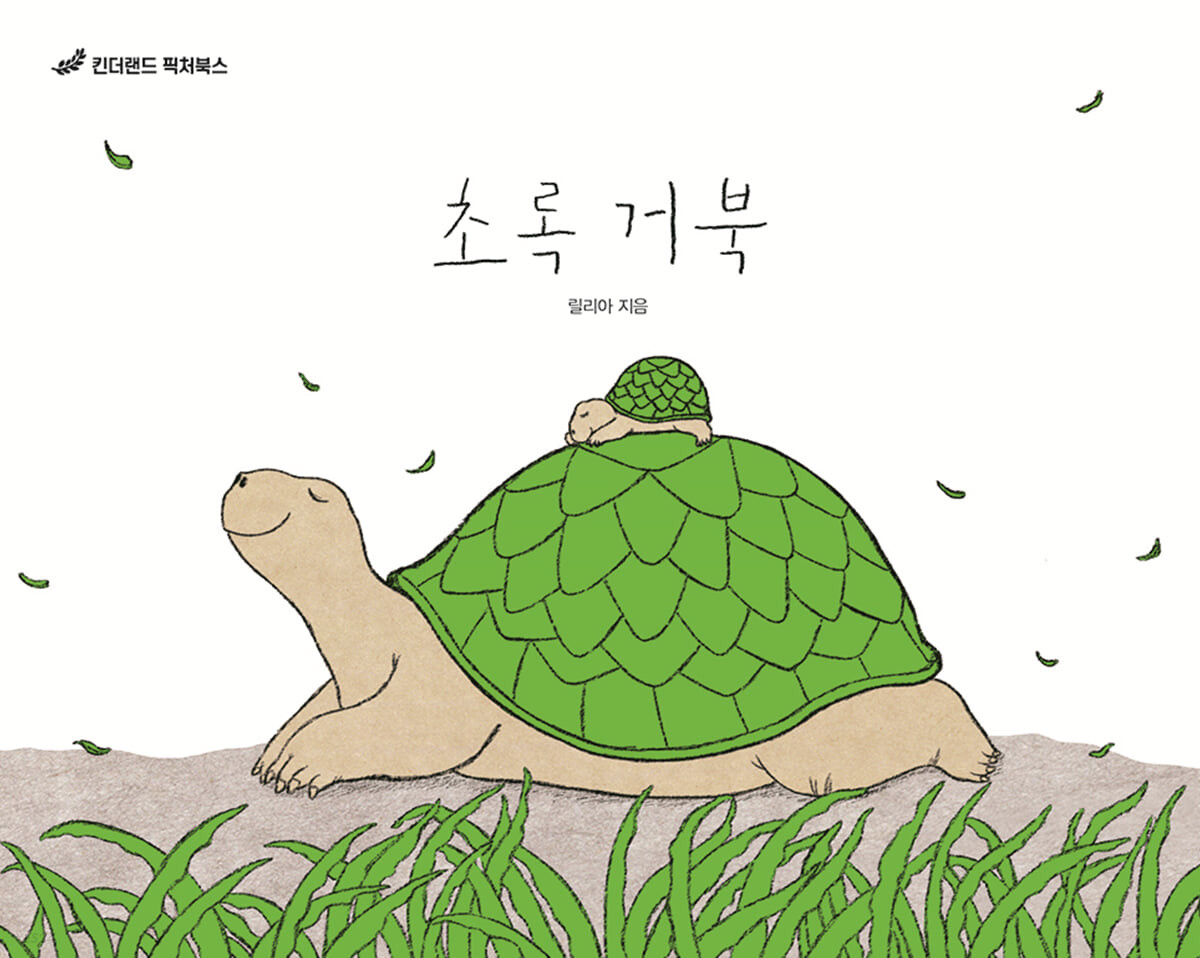 초록 거북 (유아)